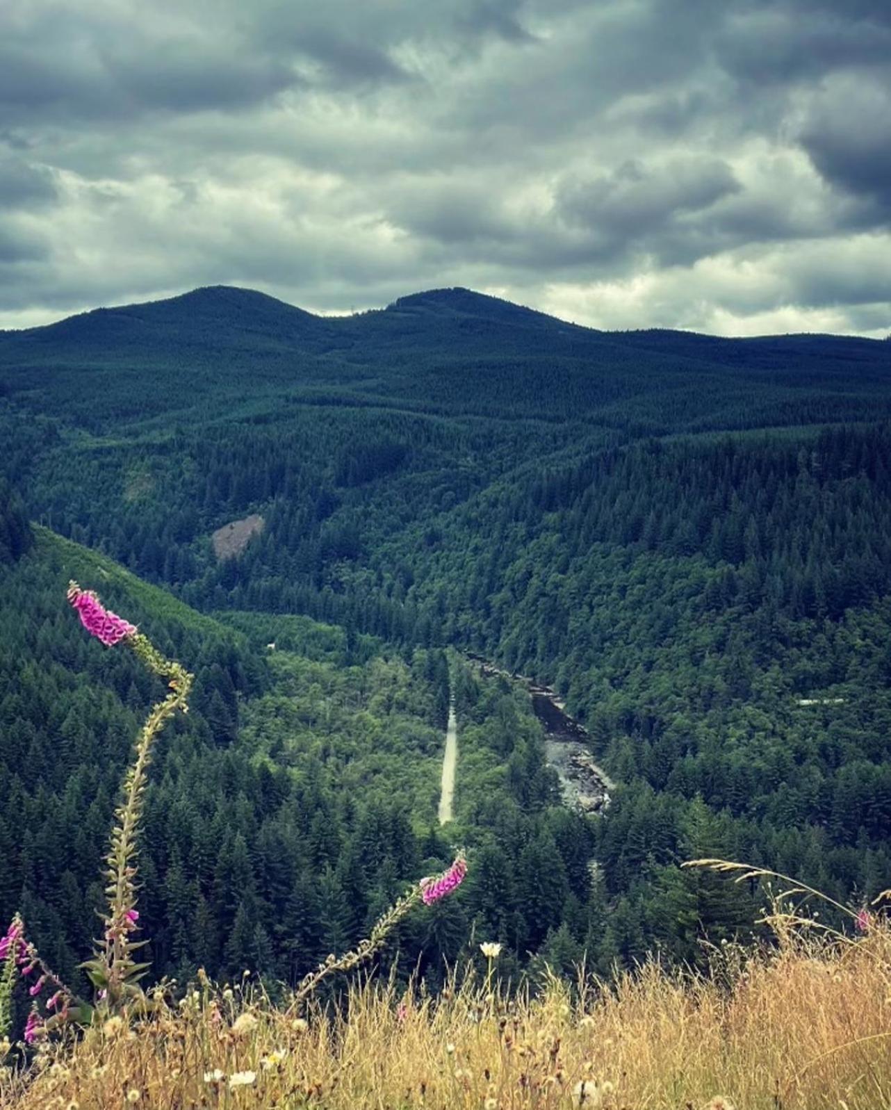Gorgeous Gateway To The Columbia River Gorge Washougal Luaran gambar