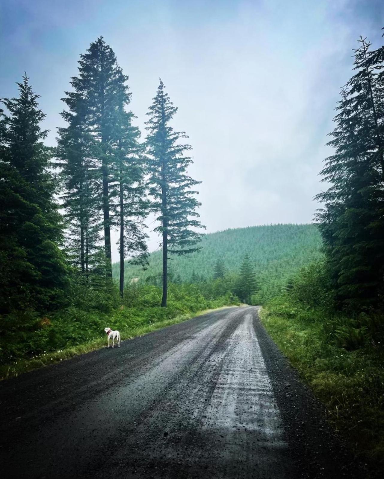 Gorgeous Gateway To The Columbia River Gorge Washougal Luaran gambar