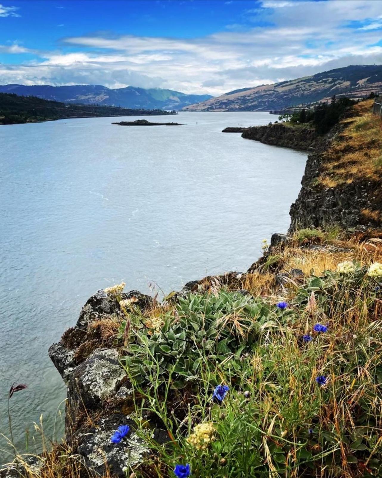 Gorgeous Gateway To The Columbia River Gorge Washougal Luaran gambar